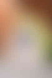 Engagement session at Disney's Animal Kingdom Lodge with Disney Wedding and Engagement Photographer Adrianna Gunn