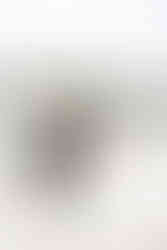 Fairytale Wedding at Disney's Wedding Pavilion and Ariel's at Disney's Beach Club by Disney Wedding Photographer Adrianna Gunn