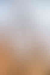 Disney's Wedding Pavilion Ceremony Photos by Disney Wedding Photographer Adrianna Gunn