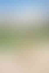 Senior Portrait Session at Disney's Grand Floridian Resort by Disney Photographer Adrianna Gunn