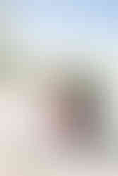 Bride and Groom Portraits with Mickey Mouse on the Disney Wish by Disney Cruise Wedding Photographer Adrianna Gunn