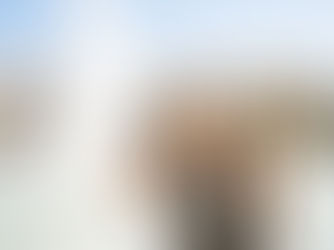 UCF Graduation Session with Orlando Senior Photographer Adrianna Gunn