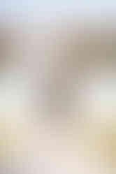 UCF Graduation Session with Orlando Senior Photographer Adrianna Gunn