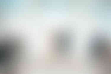 Fairytale Wedding at Disney's Wedding Pavilion and Ariel's at Disney's Beach Club by Disney Wedding Photographer Adrianna Gunn