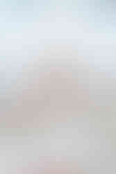 Bride and Groom Portraits for a Disney Fairytale Wedding at Disney's Grand Floridian Resort and Spa by Disney Wedding Photographer Adrianna Gunn