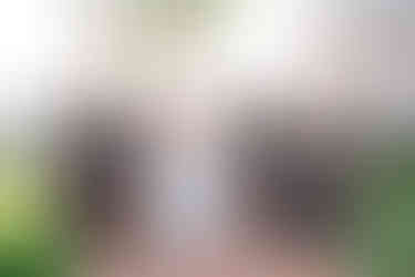 Bridal Getting Ready Photos for a Disney Fairytale Wedding at Disney's Grand Floridian Resort and Spa by Disney Wedding Photographer Adrianna Gunn