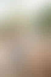 Family session at Disney's Caribbean Beach Resort by Disney Photographer Adrianna Gunn