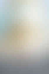 UCF Graduation Session with Orlando Senior Photographer Adrianna Gunn