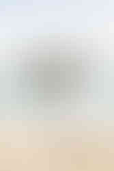 Bride and Groom Portraits on Castaway Cay on the Disney Wish by Disney Cruise Wedding Photographer Adrianna Gunn