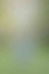 Senior Session at Disney's Riviera Resort by Orlando Senior Photographer Adrianna Gunn