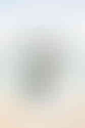 Bride and Groom Portraits on Castaway Cay on the Disney Wish by Disney Cruise Wedding Photographer Adrianna Gunn