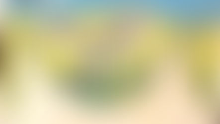 The right info. matters.