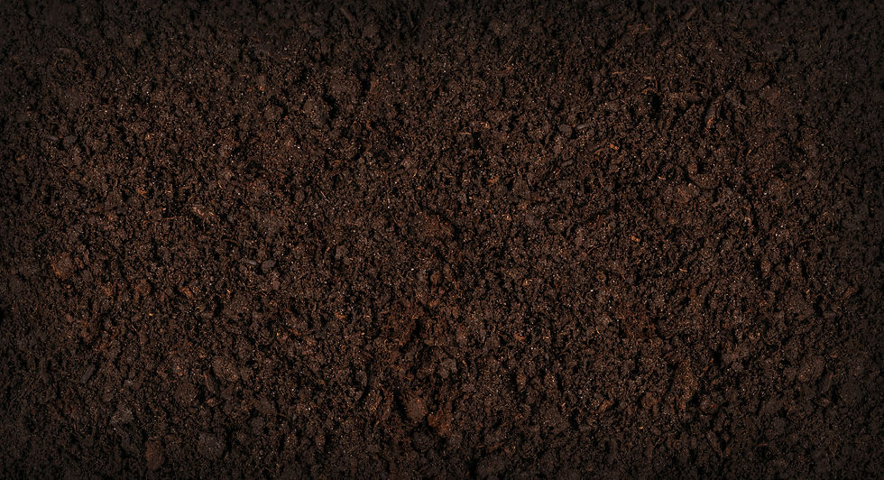 Miniaturbild: Universal-Erde mit Langzeitdünger aus Schafwollpellets