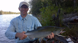 Neils sockeye