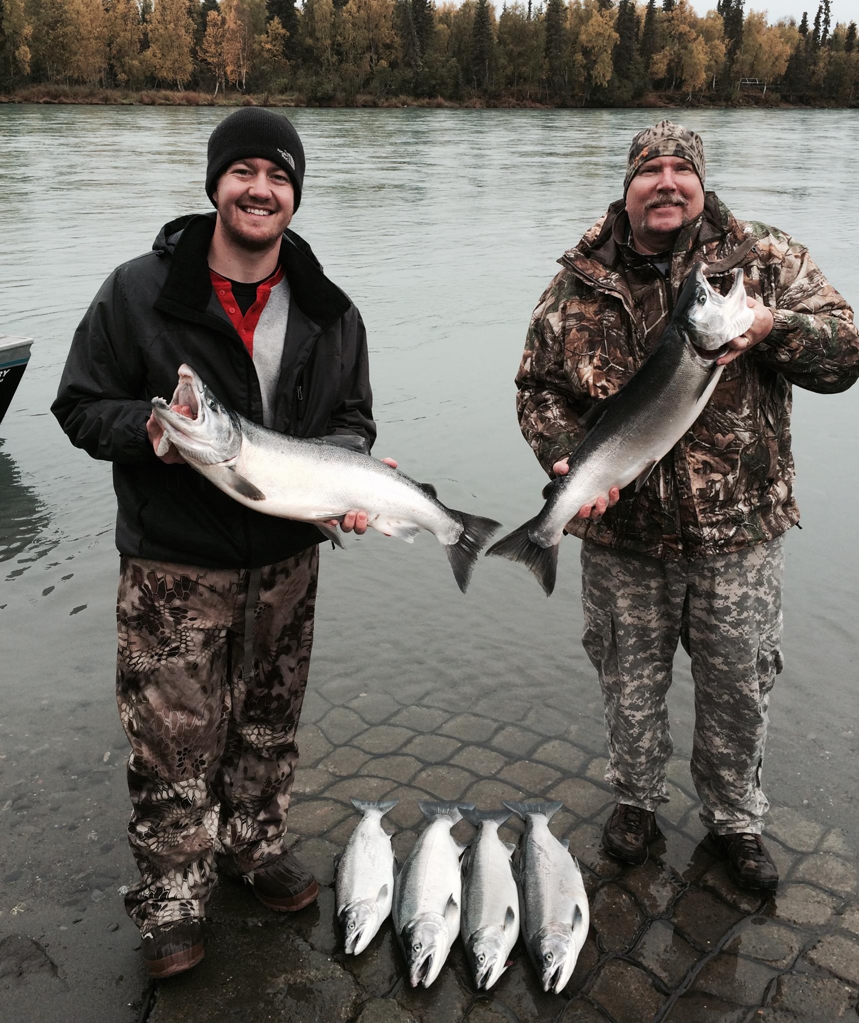 Kenai silvers