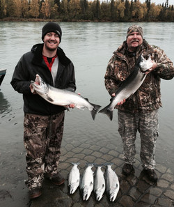 Kenai silvers