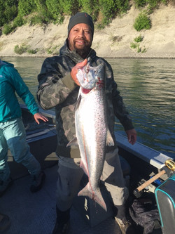 KING SALMON