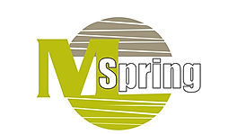 Logo_Mspring_micro.jpeg