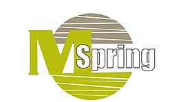 Logo_Mspring_micro.jpeg