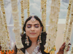 IP-M&A-HALDI (139).jpg