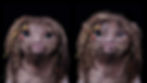 Martian Face 5