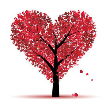 Valentine’s Day – What about the other 364 days of the year?
