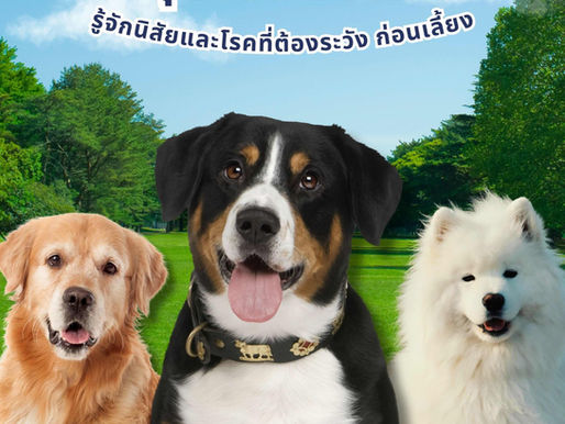 แนะนำ 50 สายพันธุ์สุนัขยอดนิยม รู้จักนิสัยและโรคที่ต้องระวัง ก่อนเลี้ยง