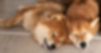 ree