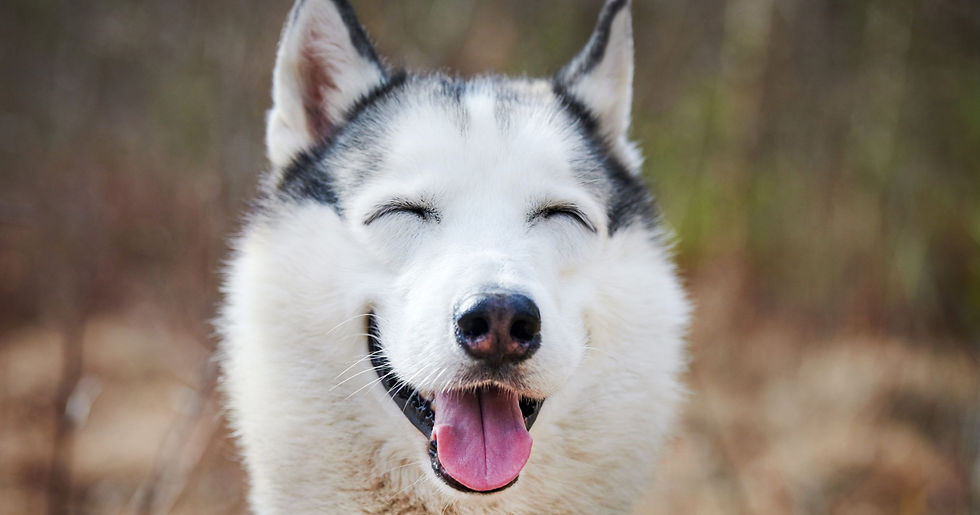ree