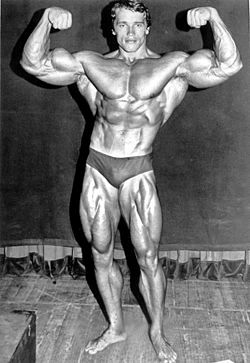 bodybuilding show physique competition
