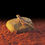 Miniatura: PIEDRA CALEFACTORA EXO TERRA