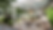 Backyard 02