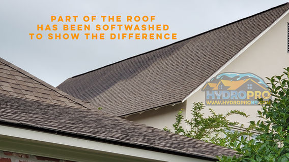 roof split.jpg