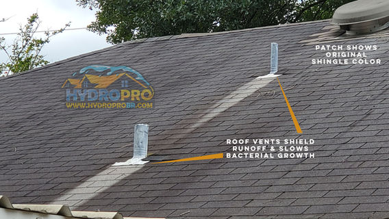 example of dirty roof.jpg