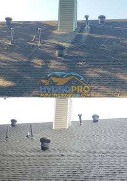 roof before.jpg