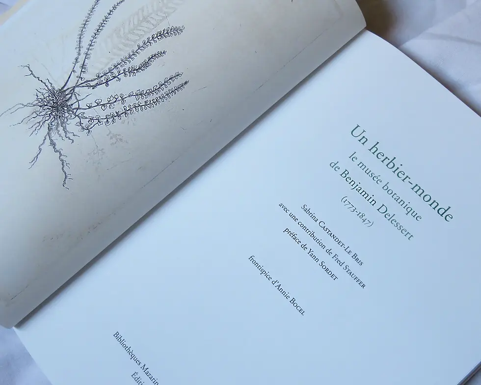 Miniature : Un herbier-monde : Le musée botanique de Benjamin Delessert (1773-1847)