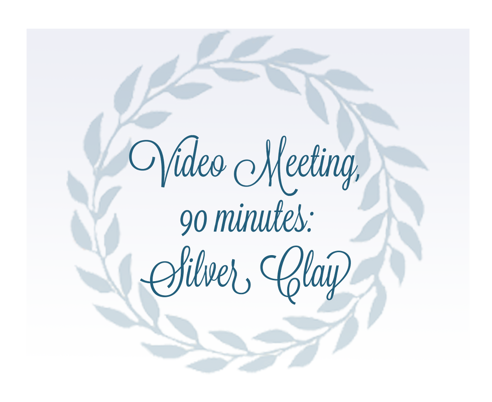 Video Meeting, 90 minutes