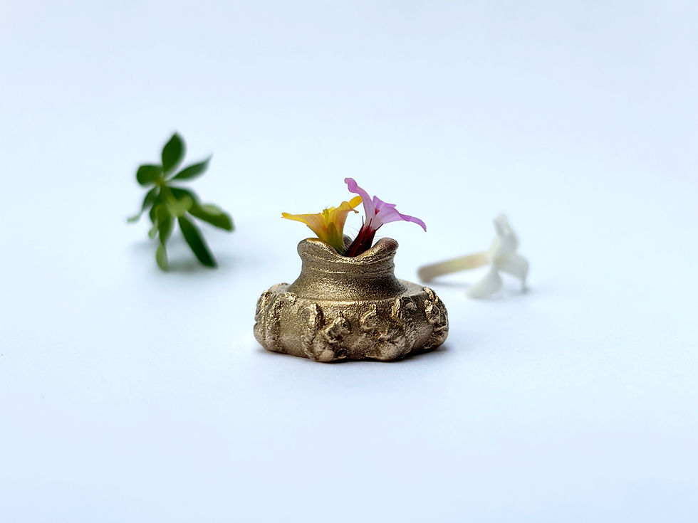 Thumbnail: Squirrel Pot in Bronze