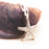 Thumbnail: Silver Starfish Necklace