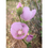 Thumbnail: Silver Fire Flower Necklace - Raising Funds for Nikki