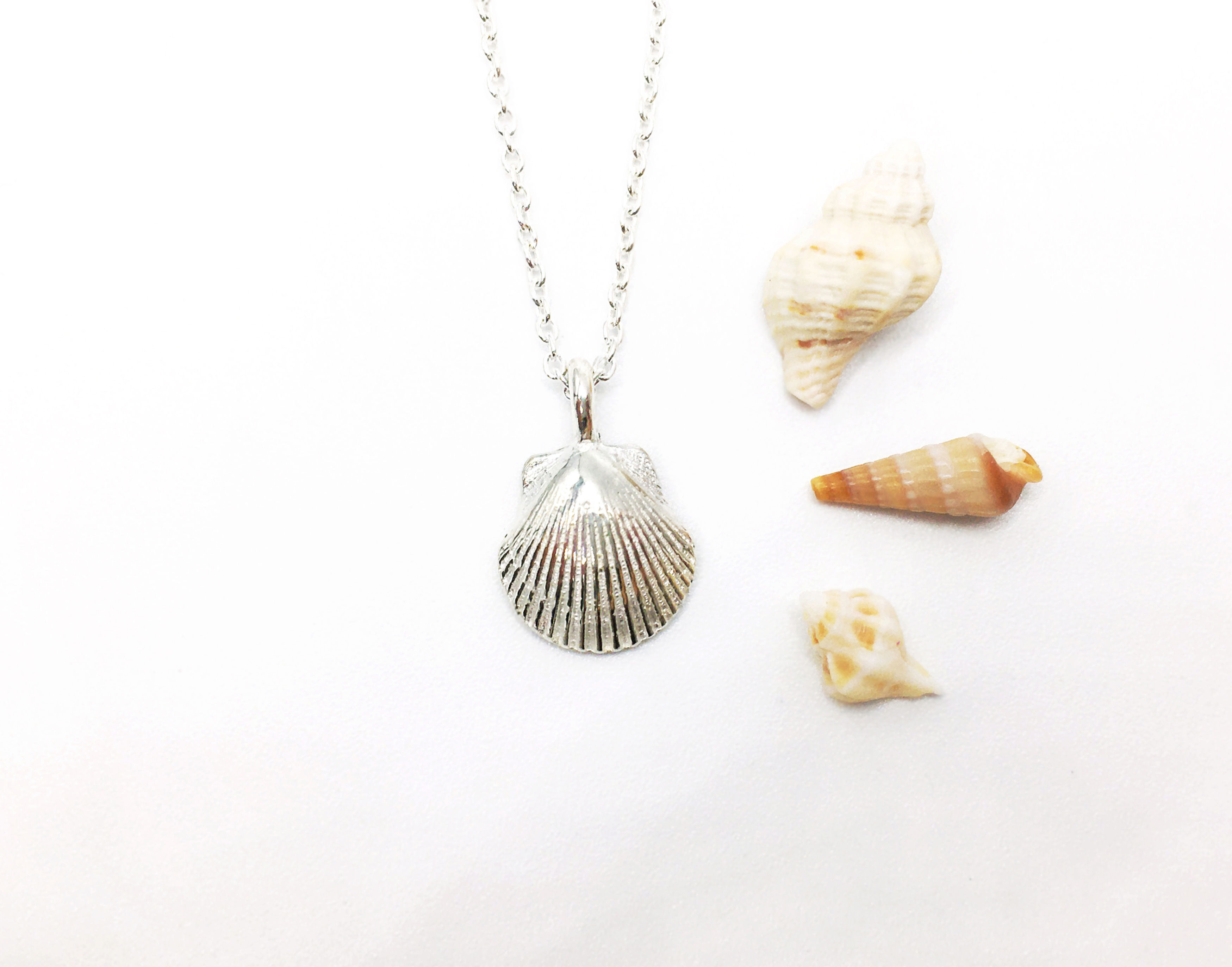 Tiny Silver Scallop Shell Necklace