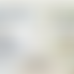 What is a Business Plan?