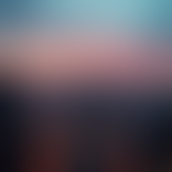 Visibility Solutions: Elevate Your Business Strategy Today