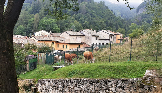ferrara di monte baldo
