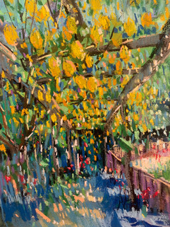 image00012.jpeg
