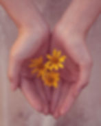 Consulenza Ayurvedica
