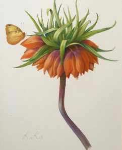 image00003.jpeg