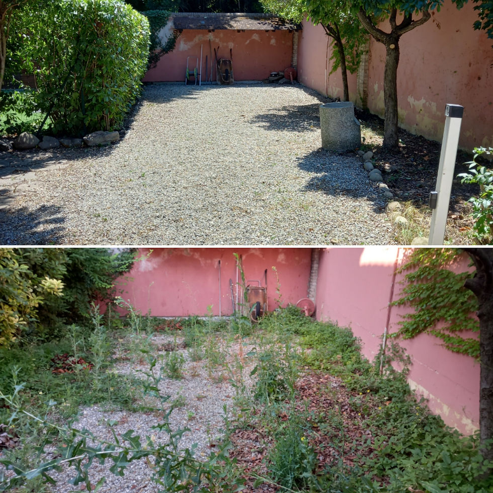 GENIUS LUCI GIARDINAGGIO - Genius Loci Giardinaggio è un’azienda specializzata nella manut