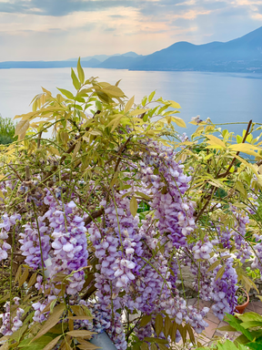 Garda's Lake - Torri 2021