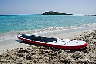 Paddleboard on Shore